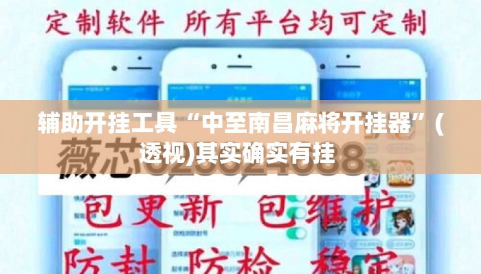 辅助开挂工具“中至南昌麻将开挂器”(透视)其实确实有挂 
