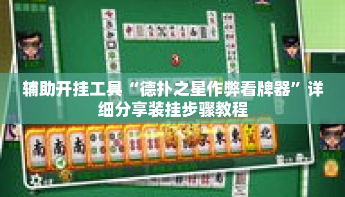 辅助开挂工具“德扑之星作弊看牌器	”详细分享装挂步骤教程