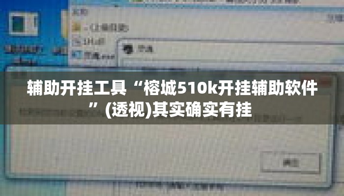 辅助开挂工具“榕城510k开挂辅助软件	”(透视)其实确实有挂 