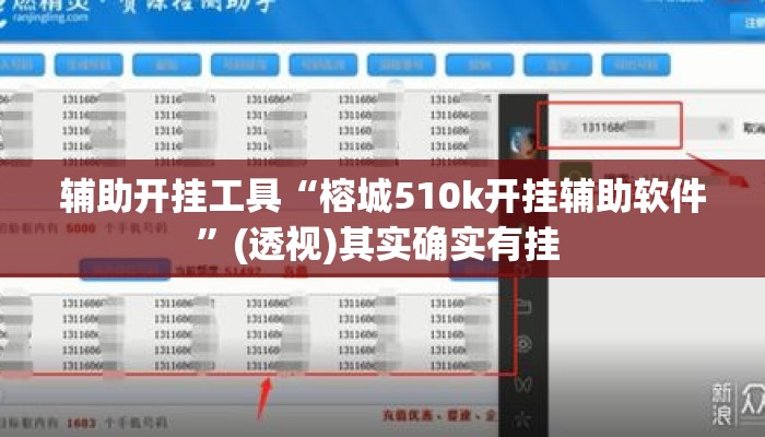 辅助开挂工具“榕城510k开挂辅助软件	”(透视)其实确实有挂 