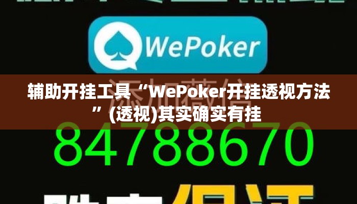 辅助开挂工具“WePoker开挂透视方法	”(透视)其实确实有挂 