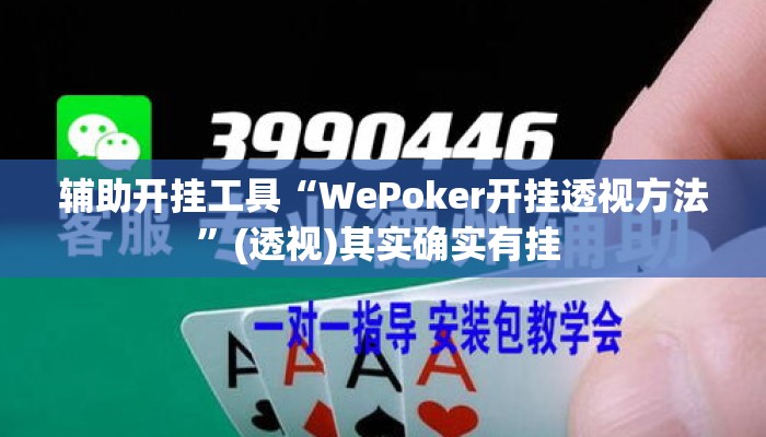 辅助开挂工具“WePoker开挂透视方法”(透视)其实确实有挂 