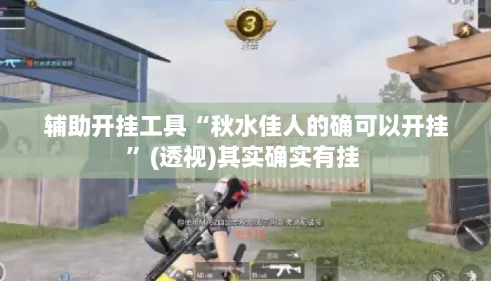辅助开挂工具“秋水佳人的确可以开挂	”(透视)其实确实有挂 