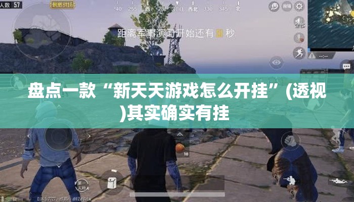 盘点一款“新天天游戏怎么开挂”(透视)其实确实有挂 