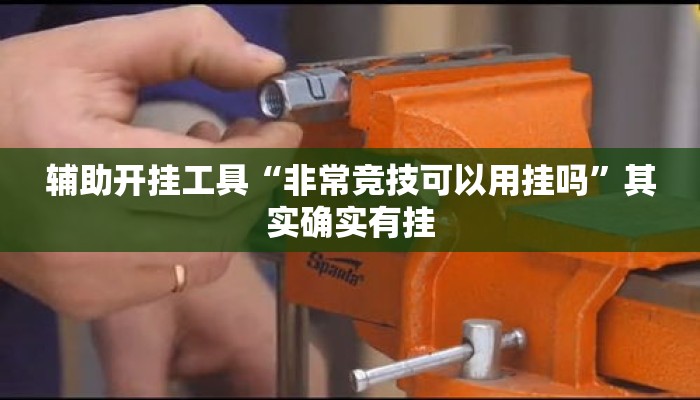 辅助开挂工具“非常竞技可以用挂吗	”其实确实有挂