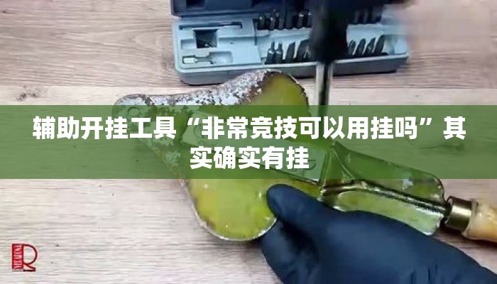 辅助开挂工具“非常竞技可以用挂吗”其实确实有挂
