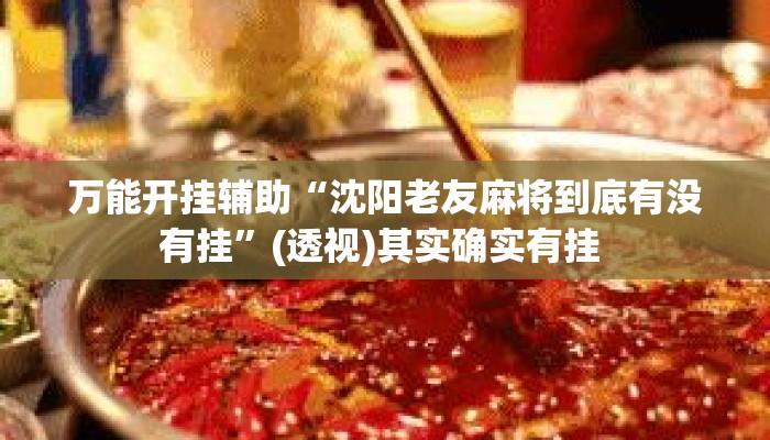 万能开挂辅助“沈阳老友麻将到底有没有挂”(透视)其实确实有挂 
