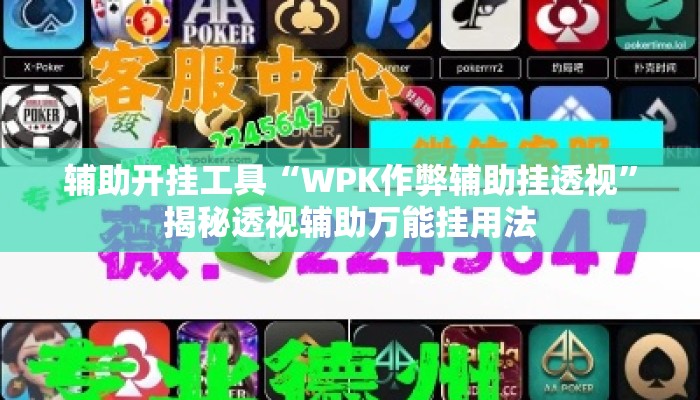 辅助开挂工具“WPK作弊辅助挂透视”揭秘透视辅助万能挂用法
