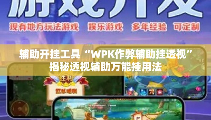 辅助开挂工具“WPK作弊辅助挂透视”揭秘透视辅助万能挂用法