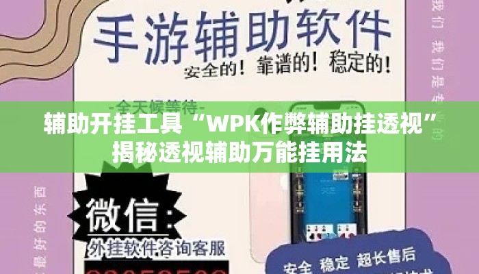 辅助开挂工具“WPK作弊辅助挂透视”揭秘透视辅助万能挂用法