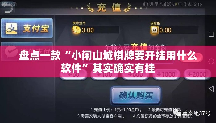 盘点一款“小闲山城棋牌要开挂用什么软件”其实确实有挂