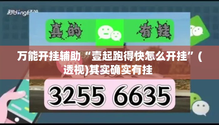 万能开挂辅助“壹起跑得快怎么开挂”(透视)其实确实有挂 
