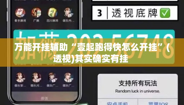 万能开挂辅助“壹起跑得快怎么开挂”(透视)其实确实有挂 