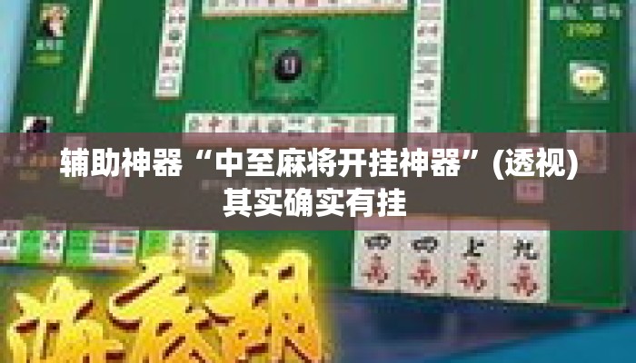 辅助神器“中至麻将开挂神器	”(透视)其实确实有挂 