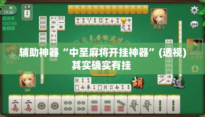 辅助神器“中至麻将开挂神器”(透视)其实确实有挂 