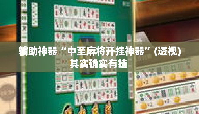 辅助神器“中至麻将开挂神器”(透视)其实确实有挂 