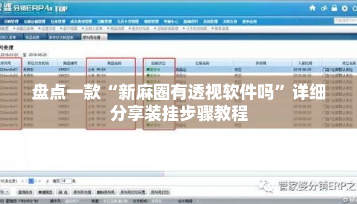 盘点一款“新麻圈有透视软件吗”详细分享装挂步骤教程