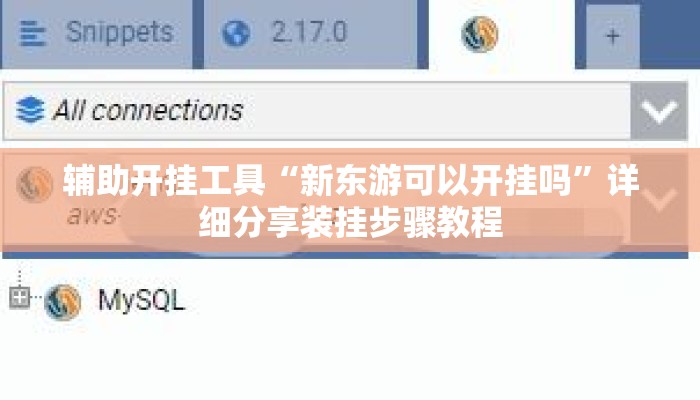 辅助开挂工具“新东游可以开挂吗”详细分享装挂步骤教程
