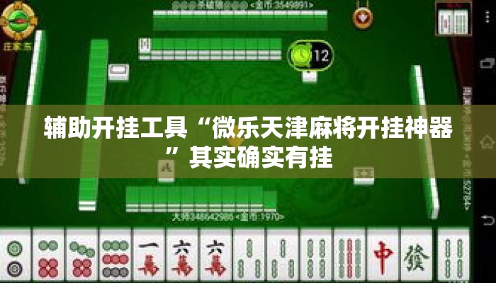 辅助开挂工具“微乐天津麻将开挂神器	”其实确实有挂