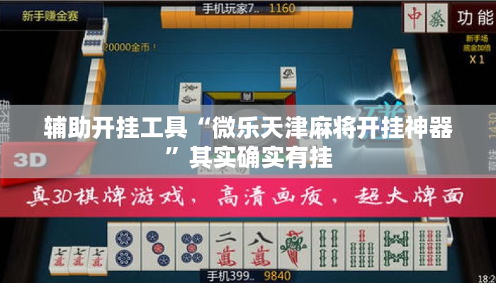 辅助开挂工具“微乐天津麻将开挂神器	”其实确实有挂