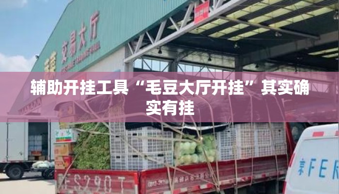 辅助开挂工具“毛豆大厅开挂”其实确实有挂