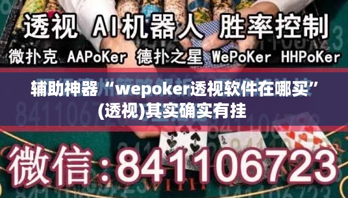 辅助神器“wepoker透视软件在哪买”(透视)其实确实有挂 