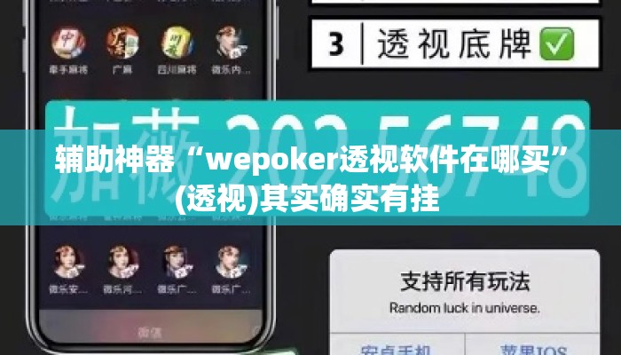 辅助神器“wepoker透视软件在哪买”(透视)其实确实有挂 