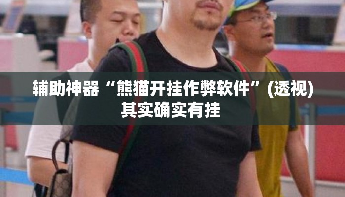 辅助神器“熊猫开挂作弊软件”(透视)其实确实有挂 