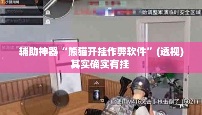 辅助神器“熊猫开挂作弊软件”(透视)其实确实有挂 