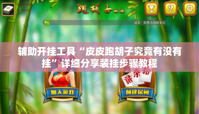 辅助开挂工具“皮皮跑胡子究竟有没有挂”详细分享装挂步骤教程