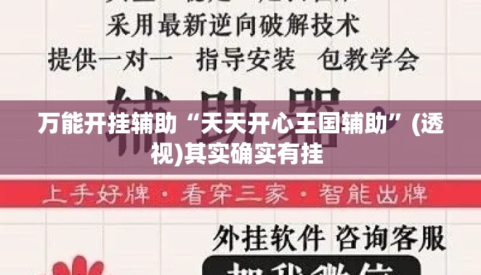 万能开挂辅助“天天开心王国辅助	”(透视)其实确实有挂 