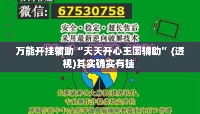 万能开挂辅助“天天开心王国辅助”(透视)其实确实有挂 