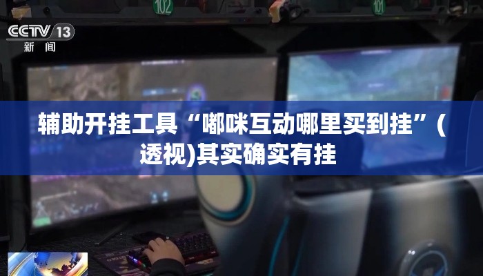 辅助开挂工具“嘟咪互动哪里买到挂”(透视)其实确实有挂 