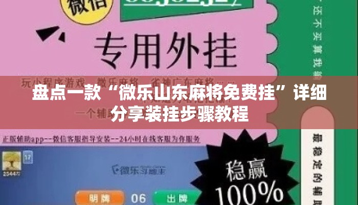 盘点一款“微乐山东麻将免费挂”详细分享装挂步骤教程