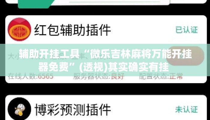 辅助开挂工具“微乐吉林麻将万能开挂器免费”(透视)其实确实有挂 