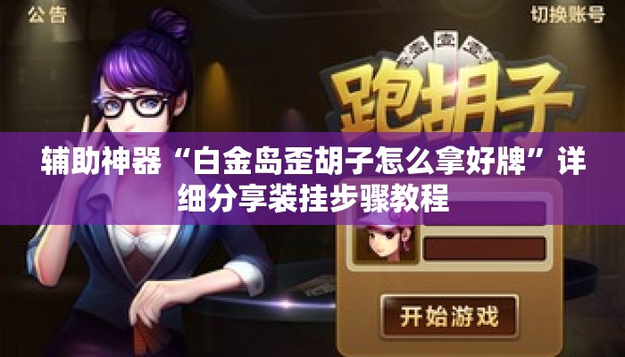 辅助神器“白金岛歪胡子怎么拿好牌”详细分享装挂步骤教程