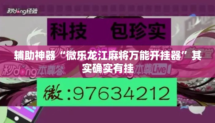 辅助神器“微乐龙江麻将万能开挂器”其实确实有挂