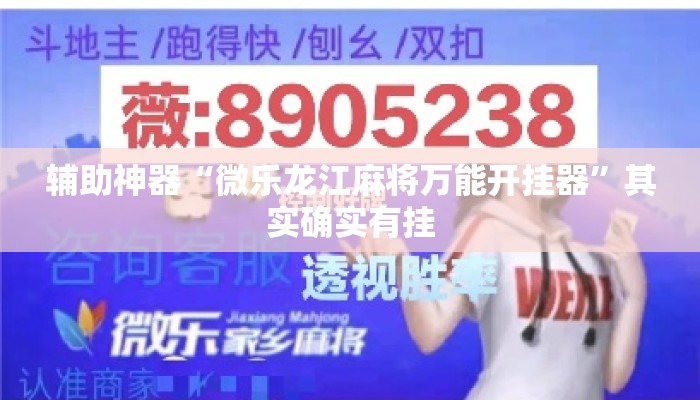 辅助神器“微乐龙江麻将万能开挂器”其实确实有挂
