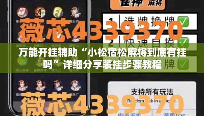 万能开挂辅助“小松宿松麻将到底有挂吗”详细分享装挂步骤教程