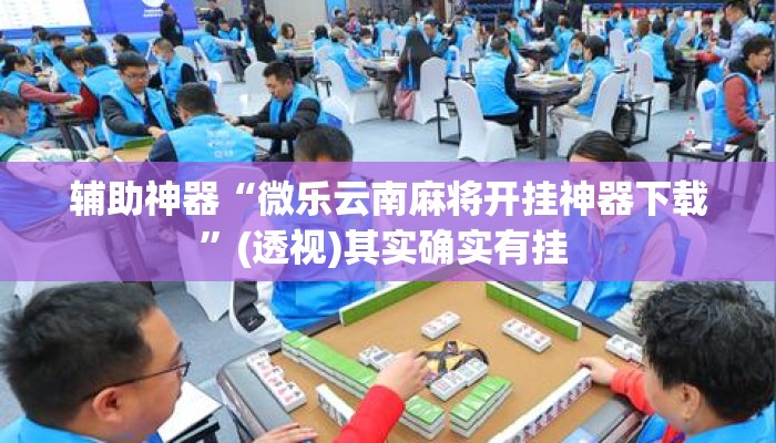 辅助神器“微乐云南麻将开挂神器下载”(透视)其实确实有挂 