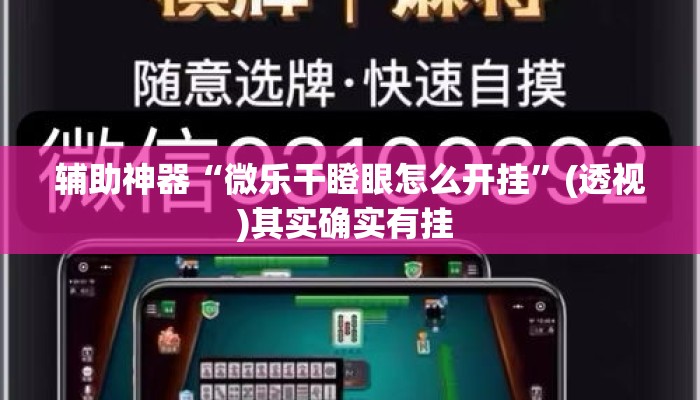 辅助神器“微乐干瞪眼怎么开挂”(透视)其实确实有挂 