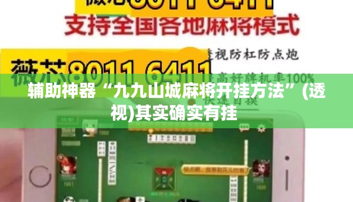 辅助神器“九九山城麻将开挂方法	”(透视)其实确实有挂 