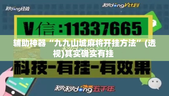 辅助神器“九九山城麻将开挂方法”(透视)其实确实有挂 