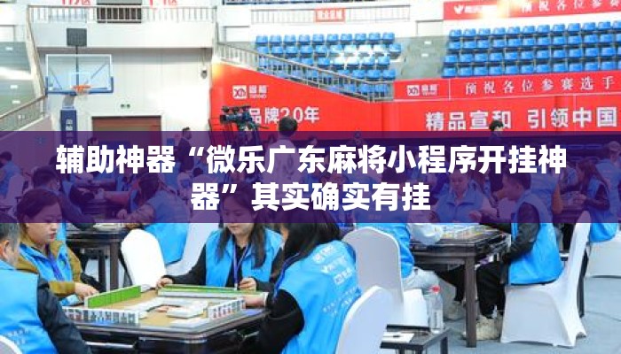 辅助神器“微乐广东麻将小程序开挂神器”其实确实有挂