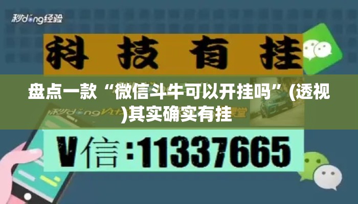 盘点一款“微信斗牛可以开挂吗”(透视)其实确实有挂 