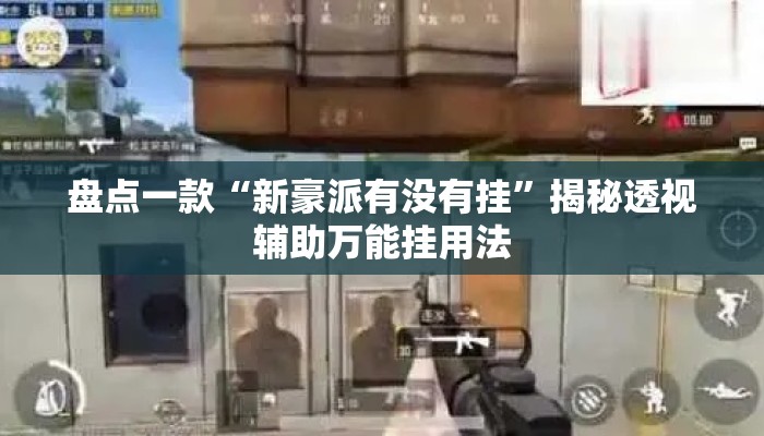 盘点一款“新豪派有没有挂”揭秘透视辅助万能挂用法