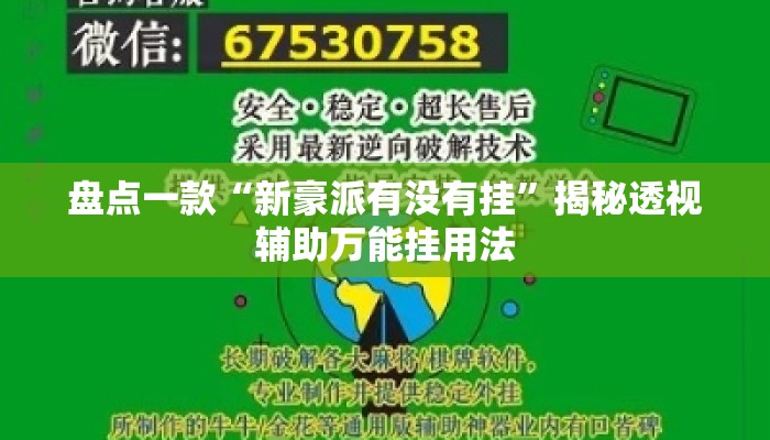 盘点一款“新豪派有没有挂	”揭秘透视辅助万能挂用法