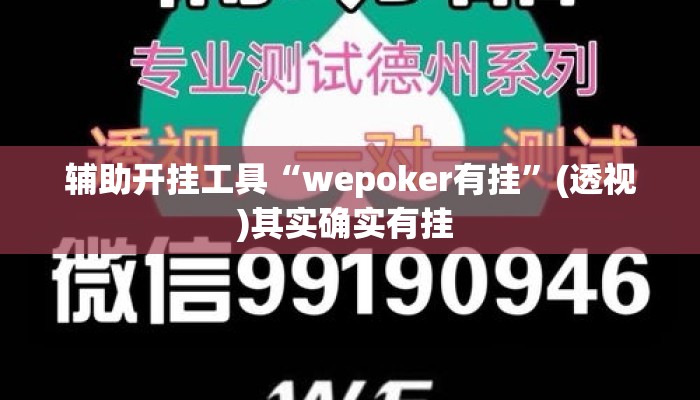 辅助开挂工具“wepoker有挂	”(透视)其实确实有挂 