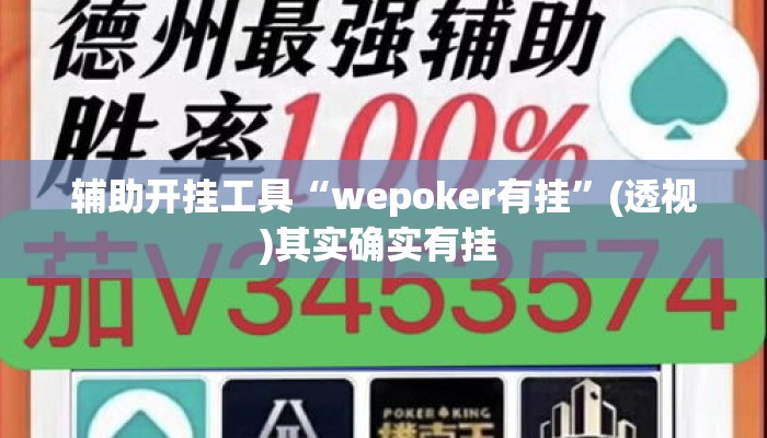 辅助开挂工具“wepoker有挂	”(透视)其实确实有挂 