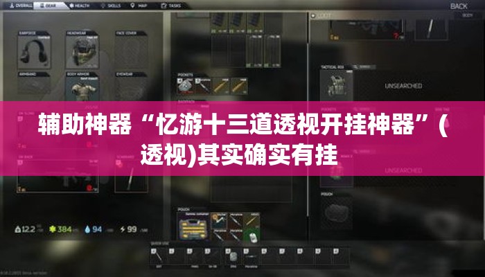 辅助神器“忆游十三道透视开挂神器”(透视)其实确实有挂 